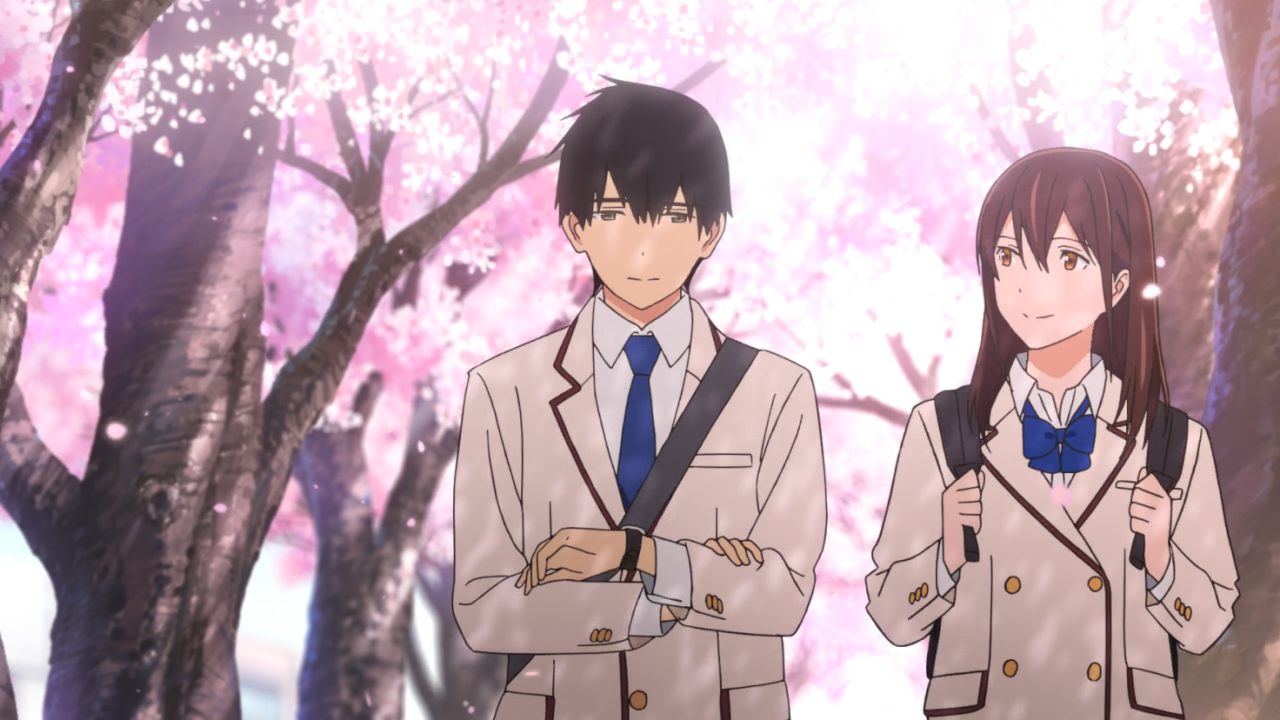 Kimi no Suizou wo Tabetai (Anarchy Subs)